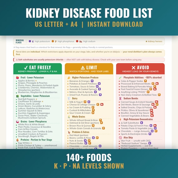Kidney Food List Printable, Renal Diet Chart by Stage, CKD Labs Explained, Low Potassium Low Phosphorus Meal Plan & Grocery PDF