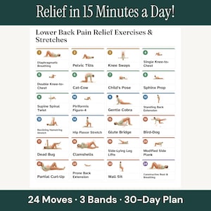May include: An instructional chart titled Relief in 15 Minutes a Day! featuring 24 numbered illustrations of lower back pain relief exercises and stretches, including Diaphragmatic Breathing, Cat-Cow, and Glute Bridge, with a 24 Moves, 3 Bands, 30-Day Plan footer.