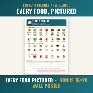 Kidney foods photo poster with every food pictured — bonus 16x20 wall poster edition included