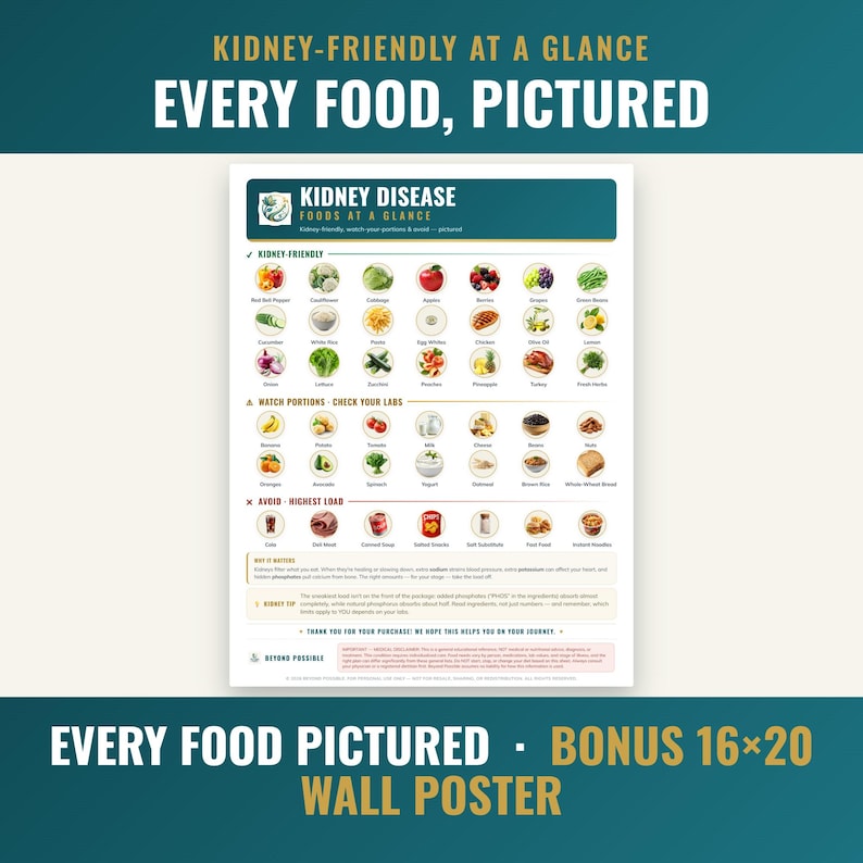 Kidney foods photo poster with every food pictured — bonus 16x20 wall poster edition included