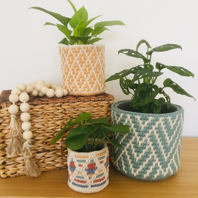 Crochet Planter image 4