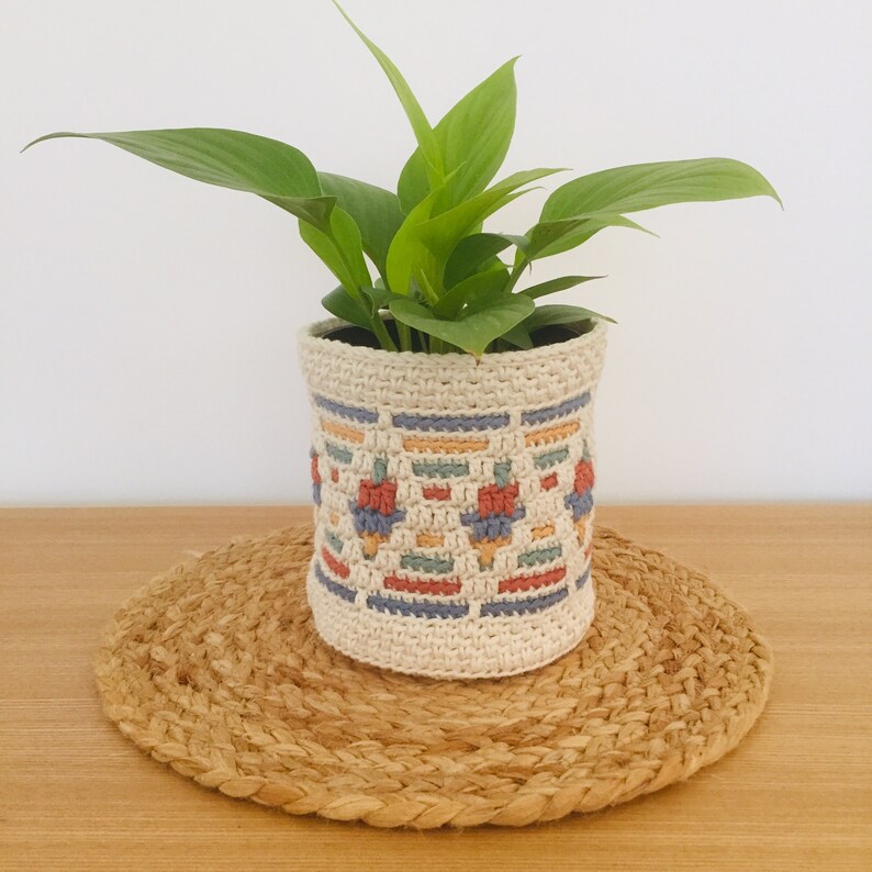 Crochet Planter image 1