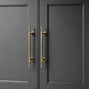May include: Two brass-colored cabinet door pulls against a dark gray cabinet door. The pulls are long and cylindrical with decorative detailing at the top and bottom. The cabinet door has a recessed panel design.
