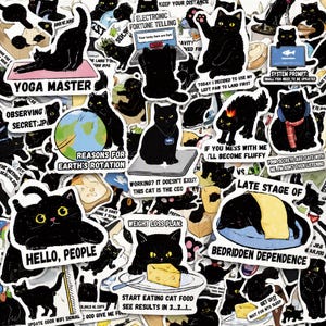 Op de afbeelding: Een verzameling stickers van zwarte katten met diverse humoristische scenario's en tekst, waaronder zinnen zoals Yoga Master, Electronic Fortune Telling, Reasons for Earth's Rotation, Working? It Doesn't Exist en Late Stage of Bedridden Dependence.