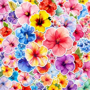 Può includere: Una collezione di adesivi a forma di fiori di ibisco in una vibrante gamma di colori tra cui rosso, giallo, rosa, blu, viola e arancione. Ogni singolo fiore presenta petali dettagliati e un prominente stame centrale, disposti in un motivo denso.