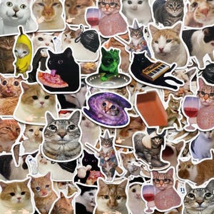 May include: A collection of assorted cat stickers featuring various feline expressions and humorous scenarios, including cats with pizza, in banana costumes, wearing glasses, holding wine glasses, and depicted in space-themed or wizard-like outfits.