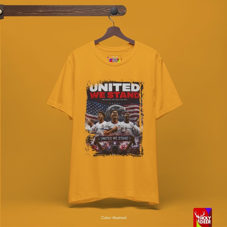 Front view of a high-quality black tee showcasing a minimalist Stars and Stripes art design. This USA national tee from HolyDeer offers a unique blend of patriotic heritage and professional grade FIFA 2026 apparel quality.