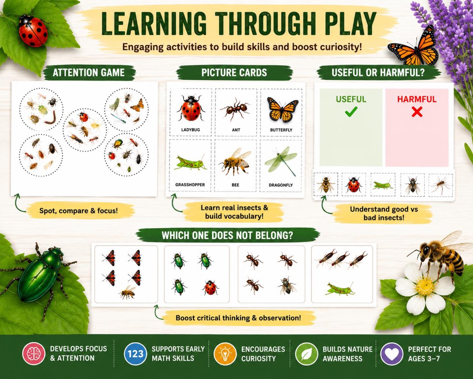 Bugs Learning Worksheets / Activities for Kids | Printable Preschool ...