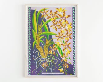 Archive | A3 Riso Print, Leopard Orchid