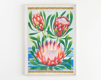 Archive | A3 Riso Print, Protea