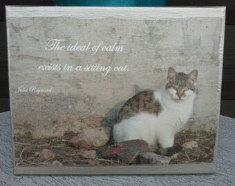 8x10 Canvas Photograph Cat Quote Print