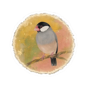 May include: A circular sticker featuring a watercolor illustration of a Java sparrow with a black head, white cheek patches, a grey body, and a pink beak, perched on a brown branch against a soft yellow and peach-toned mottled background.