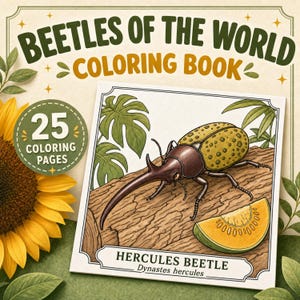 Puede incluir: Un libro para colorear cuadrado titulado Beetles of the World con 25 páginas. La portada presenta una ilustración detallada de un escarabajo Hércules marrón y amarillo sobre un tronco junto a un trozo de fruta naranja, con el texto Hercules Beetle.