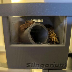 Spindelslingbur (1–3 cm) | Mini-tarantulahabitat 60 mm | Slingerium