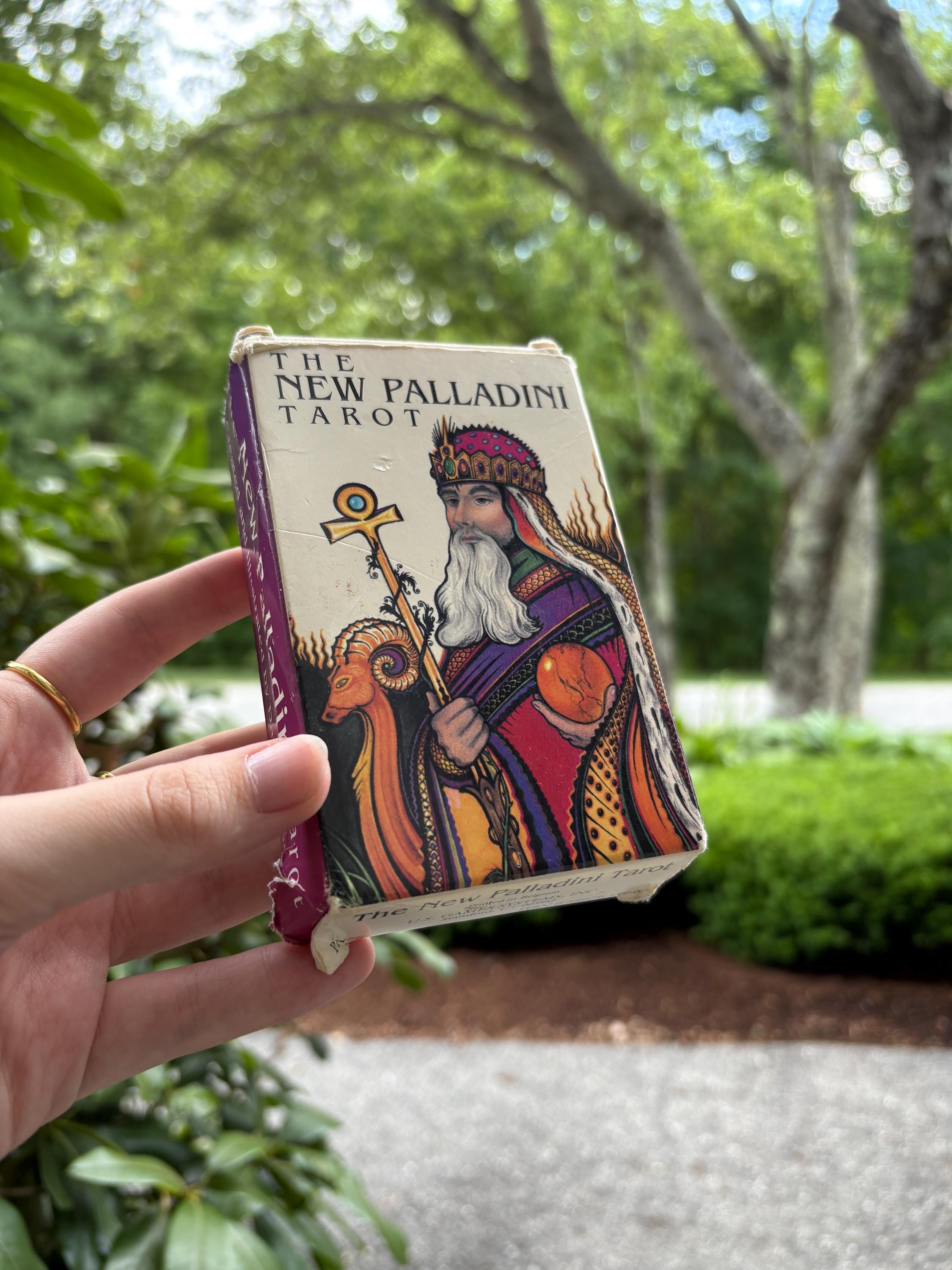 未開封　未使用品　激レア　付属品付き　the telluric tarot 入手困難］Cascadia Tarot 1st edition Occult Tarot Pocket Edition