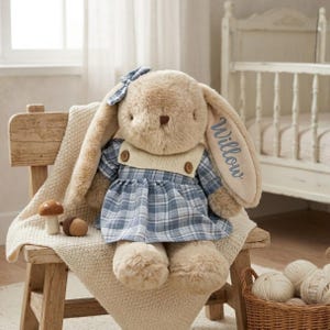 May include: A plush tan rabbit toy with long ears, one featuring the embroidered name Willow. The rabbit wears a blue and white plaid dress with a cream-colored knit bodice and two brown buttons, plus a small blue plaid bow on its head.