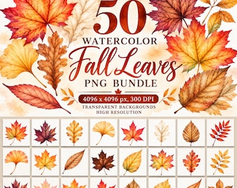 May include: A digital collection of 50 watercolor fall leaves in a PNG bundle. The image features various autumn foliage in shades of red, orange, yellow, and brown, with text reading 50 WATERCOLOR Fall Leaves PNG BUNDLE.