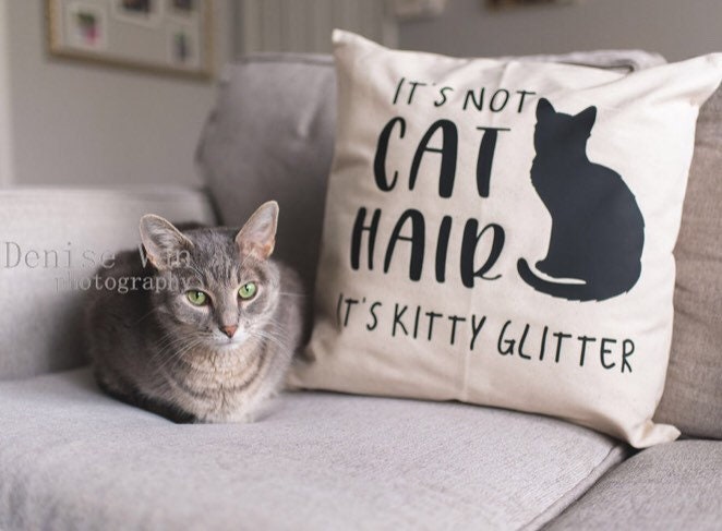 cat fur pillow