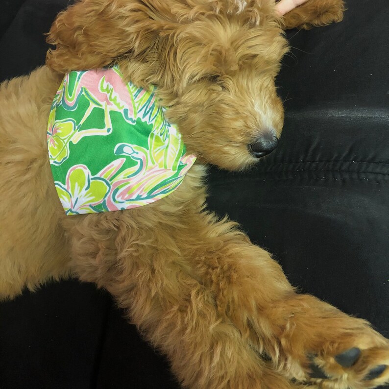Pet Bandana Collar Bandana Preppy Pet Scarf Flamingo Pet Scarf Dog Scarf Girly Dog Bandana Pet Accessories