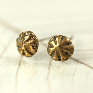 Bronze Stud Earrings  Tiny Golden Sea Urchins Sea Treasure Shell Studs  Bronze Earrings  Small Studs  Post Earrings  Mermaid