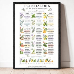 May include: A framed educational poster titled Essential Oils An Aromatherapy Guide, featuring watercolor illustrations of various plants and fruits alongside scent descriptions, mood benefits, and blending suggestions for eighteen different essential oils.
