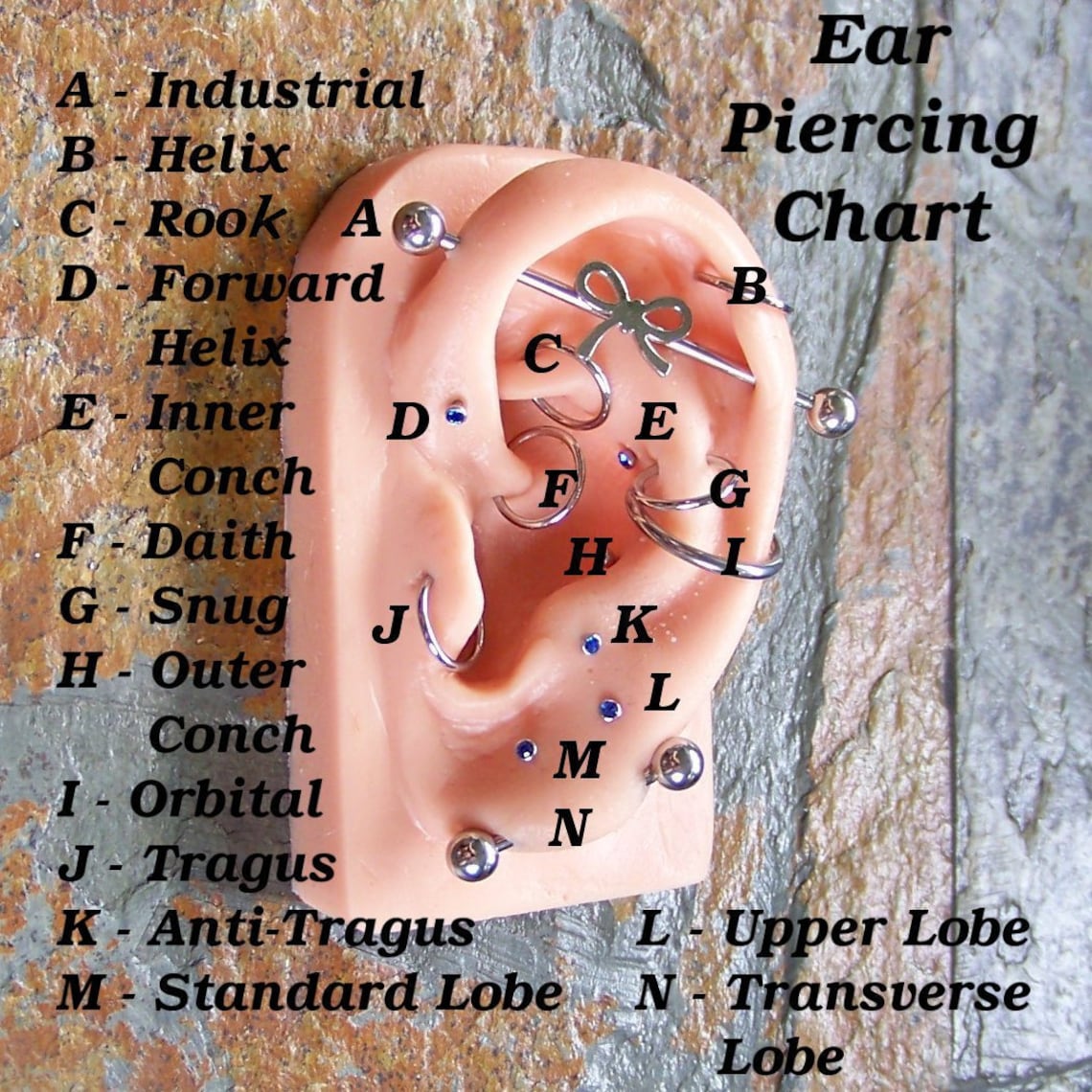 Daith Piercing Chart