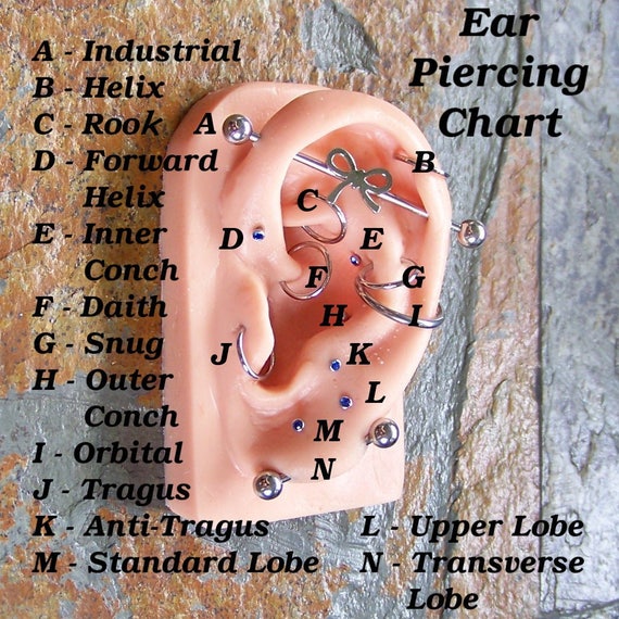 Cartilage Piercing Chart