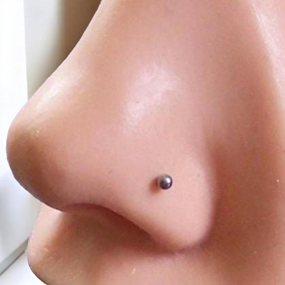 Nose Pin Simple Ball End Nose Screw Nose Pin L-shaped Nose Ring 20 or ...