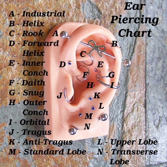 Ear Piercing Chart