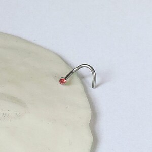 May include: A silver nose ring with a small, round, red gemstone.