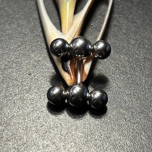 May include: A silver-colored barbell body piercing with six spherical ends. The piercing is centered on a white and tan seashell against a dark gray background. The spheres are evenly spaced and reflect light.