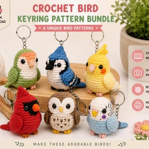 Paquete de patrones para llaveros de pájaros de ganchillo / 6 diseños de amigurumi (descarga digital)