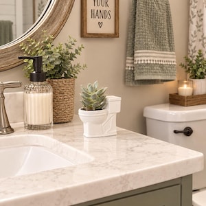 Peut inclure: Un pot de fleurs en céramique blanche en forme de toilettes contenant une petite plante succulente verte, posé sur un comptoir en marbre à côté d'un distributeur de savon en verre transparent avec une pompe noire.