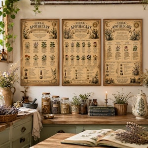 Vintage örtapotekare-tryck | Botanisk infografik på väggen (set med 3 A4 digital nedladdning)