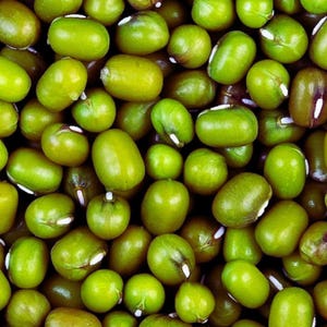 May include: A dense collection of small, oval-shaped green mung beans. Each bean features a smooth, matte surface with a distinct, small white hilum or scar visible on the side. The beans are tightly packed together, creating a uniform texture.