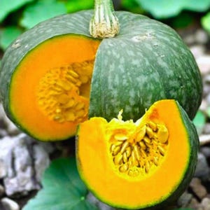 May include: A whole green pumpkin with a section cut out, revealing bright orange flesh and seeds. A slice of the pumpkin sits in front. The pumpkin has a textured surface and a green stem.