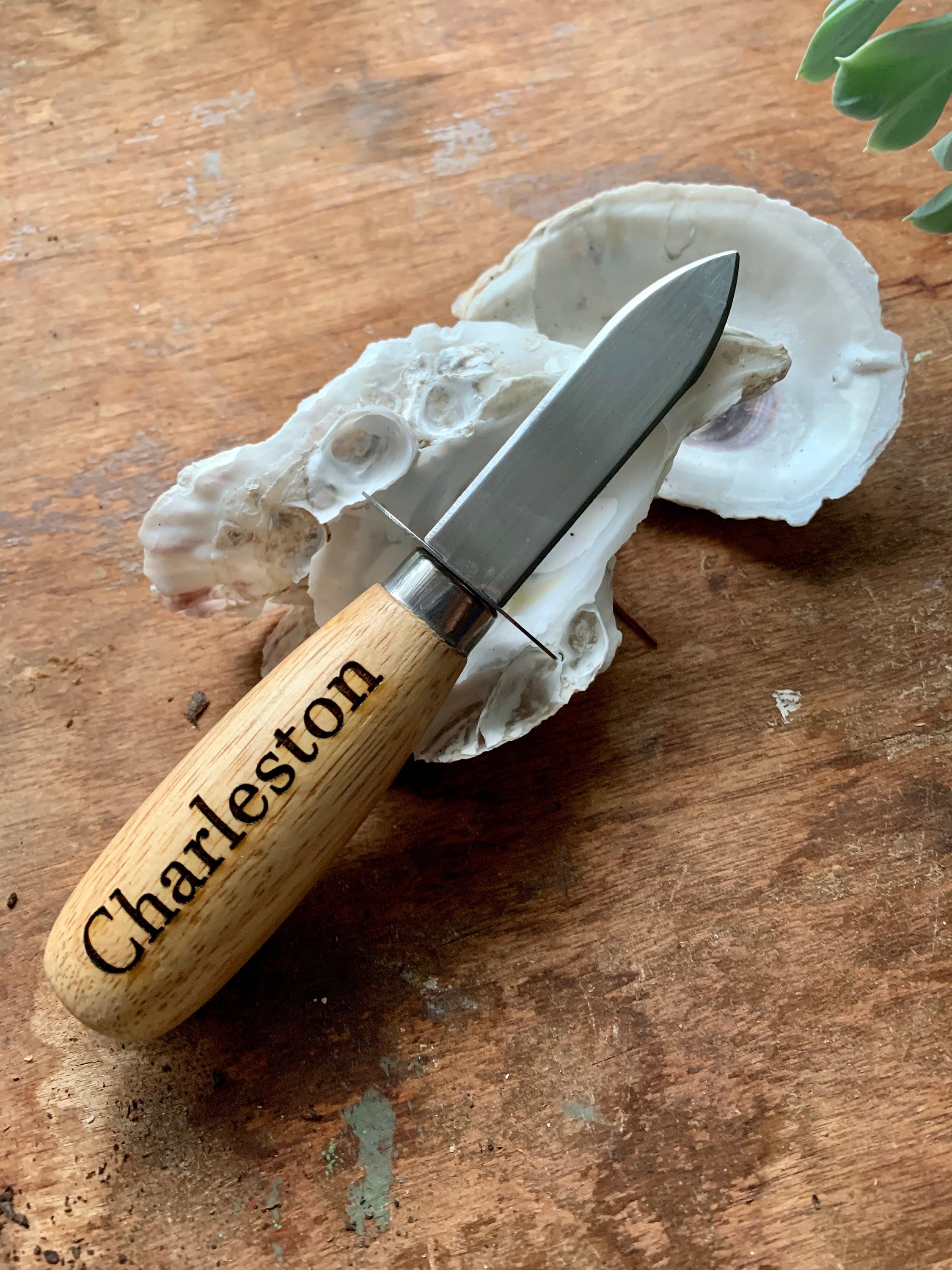 Charleston Oyster Knife Souvenir Wooden Handle Shucker Custom Etsy