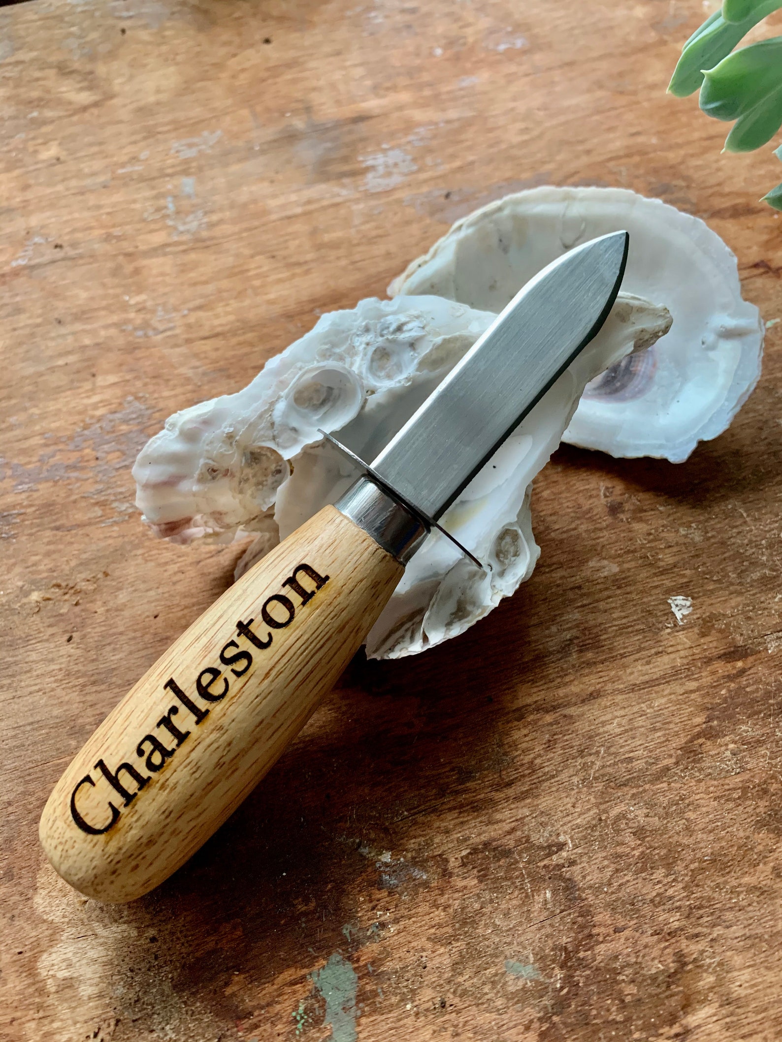Charleston Oyster Knife Souvenir Wooden Handle Shucker Custom Etsy