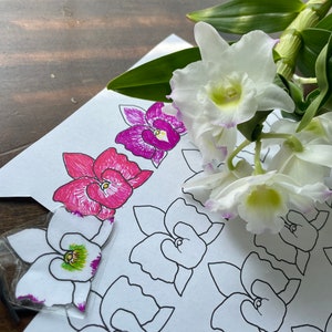 Etiquetas para orquídeas Dendrobium para colorear en formato PDF Proyecto de impresión en tamaño carta Etiqueta para planta de jardinería de interior