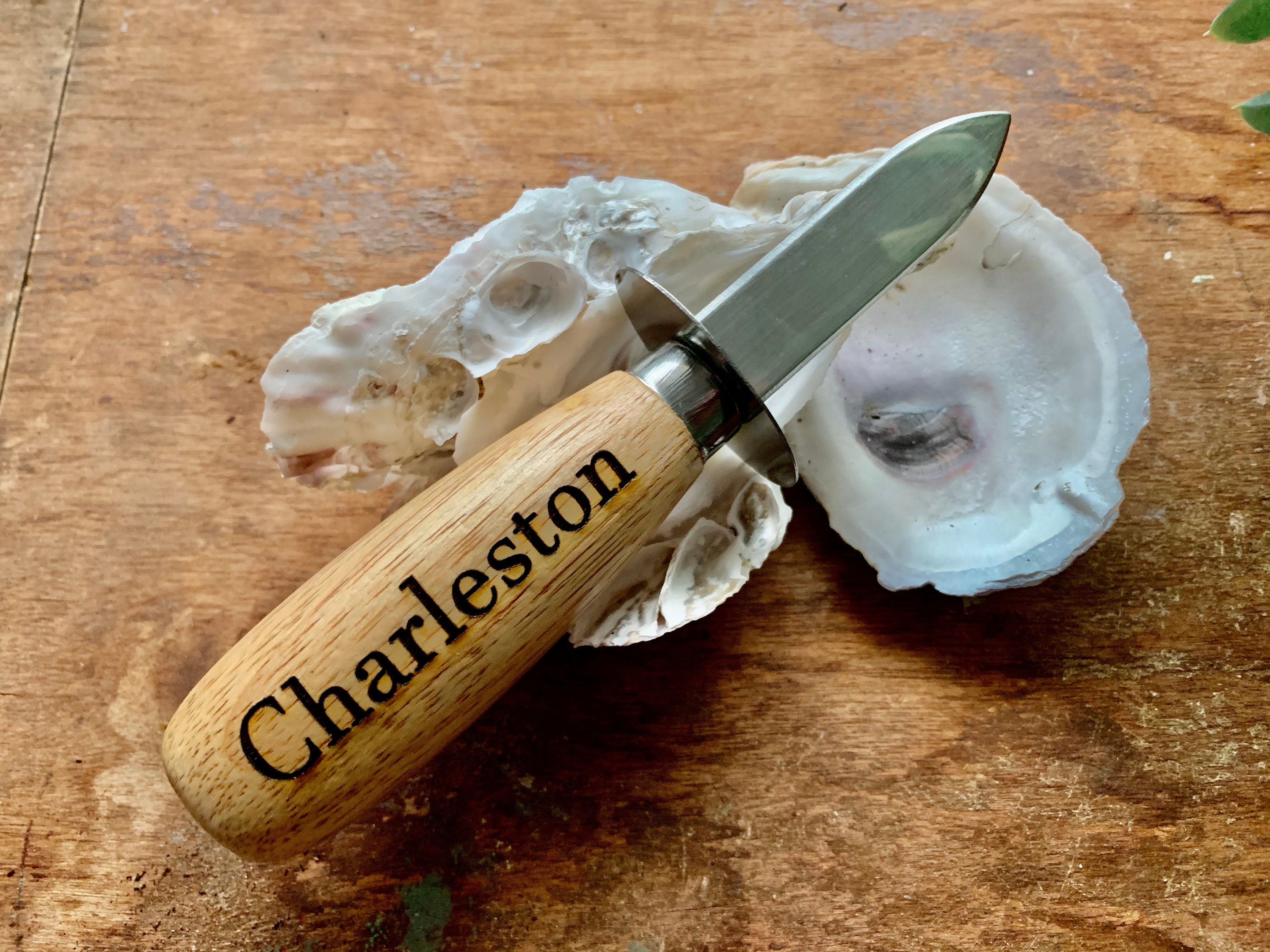 Charleston Oyster Knife Souvenir Wooden Handle Shucker Custom Etsy