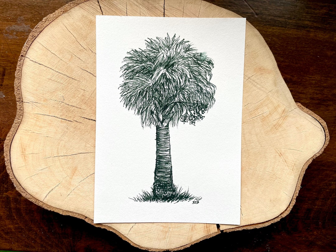 Pen and Ink Fruiting Palmetto Tree Hand Drawn Art Drawing Lowcountry ...