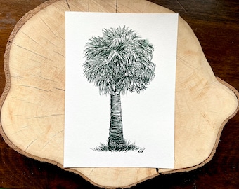 Pen and Ink Fruiting Palmetto Tree Hand drawn Art Drawing Lowcountry Charleston Southern 5x7 unframed Charleston green and white