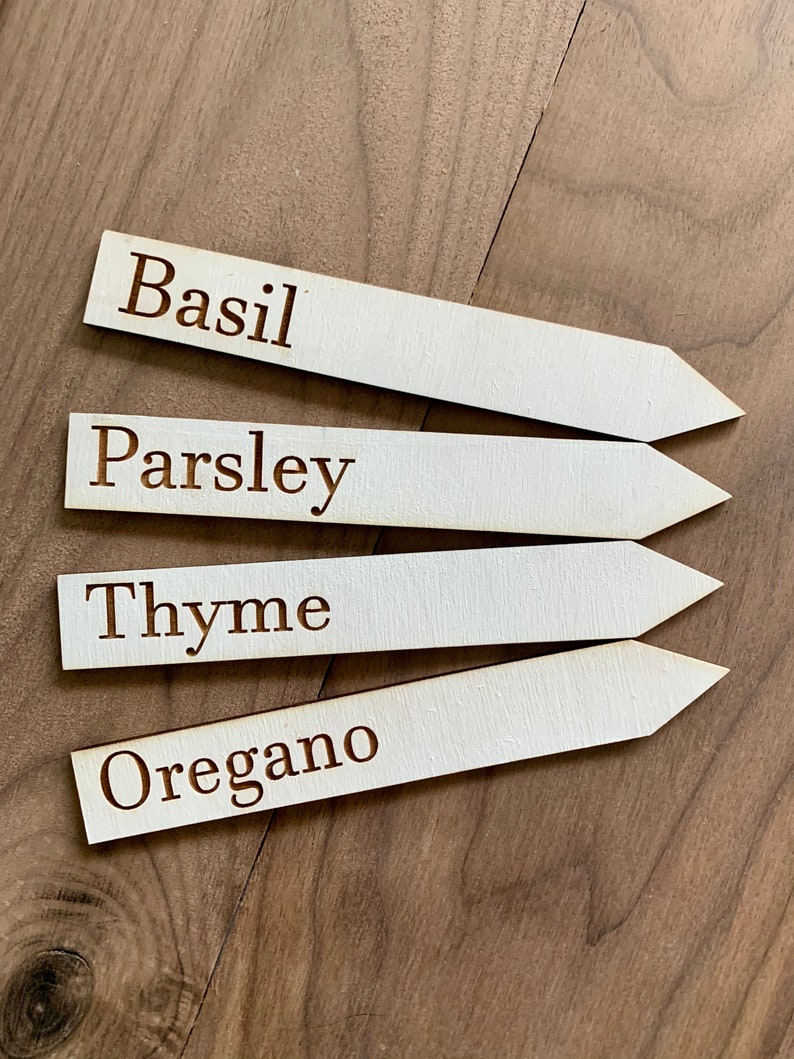 Op de afbeelding: Vier houten tuinmarkeringen met puntige uiteinden, met de labels "Basilicum", "Peterselie", "Tijm" en "Oregano" in een donkerbruin lettertype. De markeringen zijn lichtbeige en liggen op een donkerbruin houten oppervlak. Voor kruidentuinen.