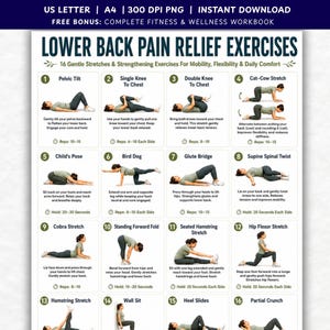 May include: A digital chart titled Lower Back Pain Relief Exercises featuring 16 numbered illustrations of individuals performing stretches and strengthening movements. Each section includes a title, descriptive instructions, and repetition counts.