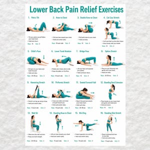 May include: An instructional poster titled Lower Back Pain Relief Exercises featuring sixteen numbered illustrations of a person in teal athletic wear performing various stretches and movements with text instructions, repetition counts, and set counts.