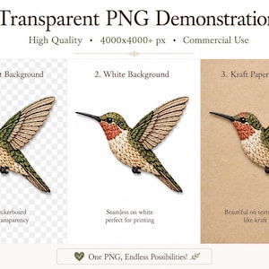 Pu&ograve; includere: Un'illustrazione digitale di un colibr&igrave; con piume verdi, marroni e arancioni, mostrata in tre varianti: su uno sfondo a scacchiera trasparente, uno sfondo bianco solido e uno sfondo in carta kraft marrone chiaro testurizzata.