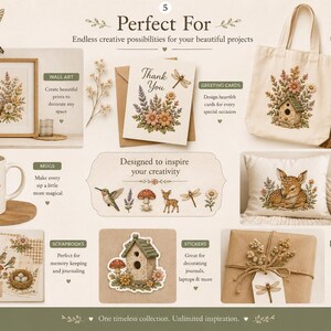 Pu&ograve; includere: Una collezione digitale di illustrazioni a tema naturale con un colibr&igrave;, un cerbiatto, una casetta per uccelli, funghi e composizioni floreali. Le grafiche sono mostrate su vari articoli tra cui una stampa incorniciata, un biglietto e una borsa.