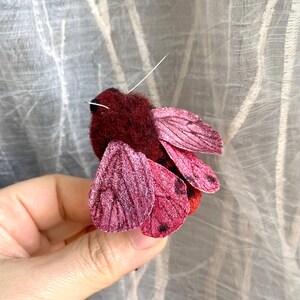 May include: A handmade, burgundy-colored moth brooch with textured wings in shades of pink and black spots. The moth has a fuzzy body and a long, white antenna. This unique accessory is perfect for adding a touch of nature-inspired flair to any outfit.
