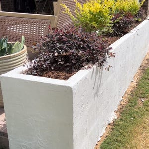 Puede incluir: Una jardinera rectangular larga construida con bloques de hormigón blanco texturizado. La jardinera está llena de tierra marrón oscura y contiene varios arbustos pequeños con follaje morado oscuro y verde amarillento brillante.
