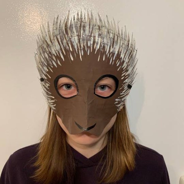 Porcupine mask